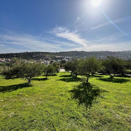 The Olive Grove Villas With Swimming Pool And Breakfast Archanes Exterior photo